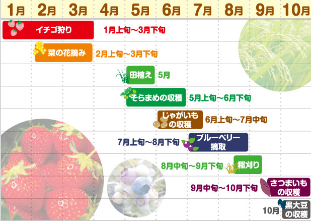 農業体験カレンダー 農業体験カレンダー