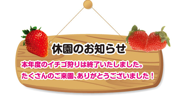 イチゴ狩り休園のお知らせ イチゴ狩り休園のお知らせ