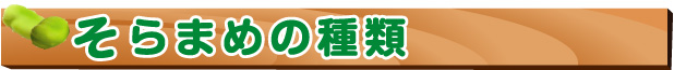 空豆の種類 空豆-空豆の種類
